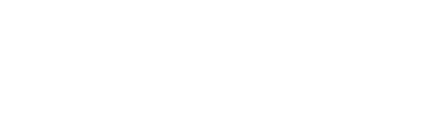 HaasF1TeamLogoLockup_White